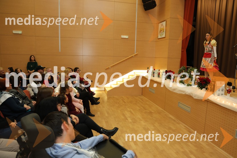 Namesto pike vejica, 15. obletnica delovanja društva