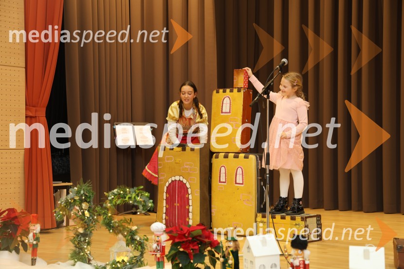 Namesto pike vejica, 15. obletnica delovanja društva