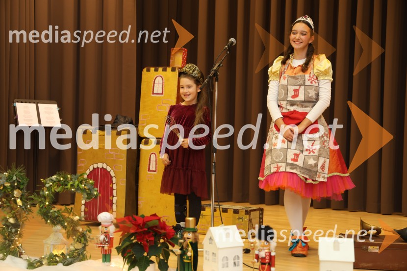 Namesto pike vejica, 15. obletnica delovanja društva