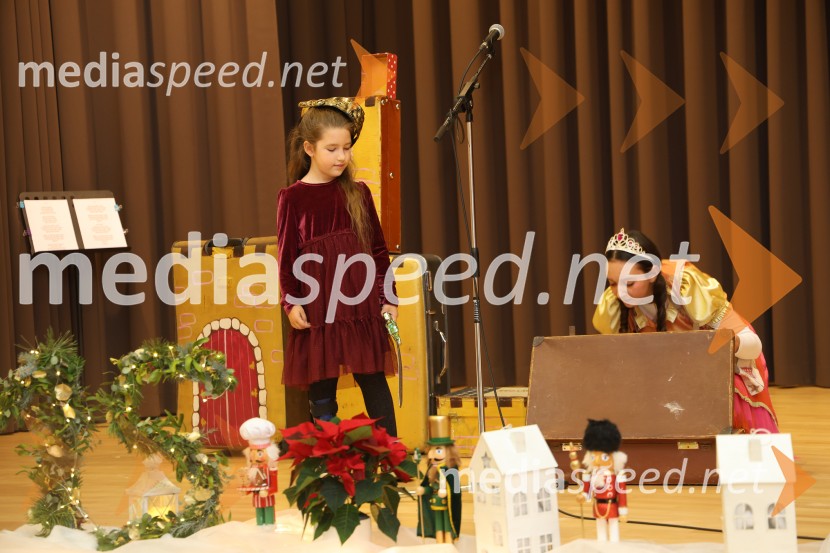 Namesto pike vejica, 15. obletnica delovanja društva