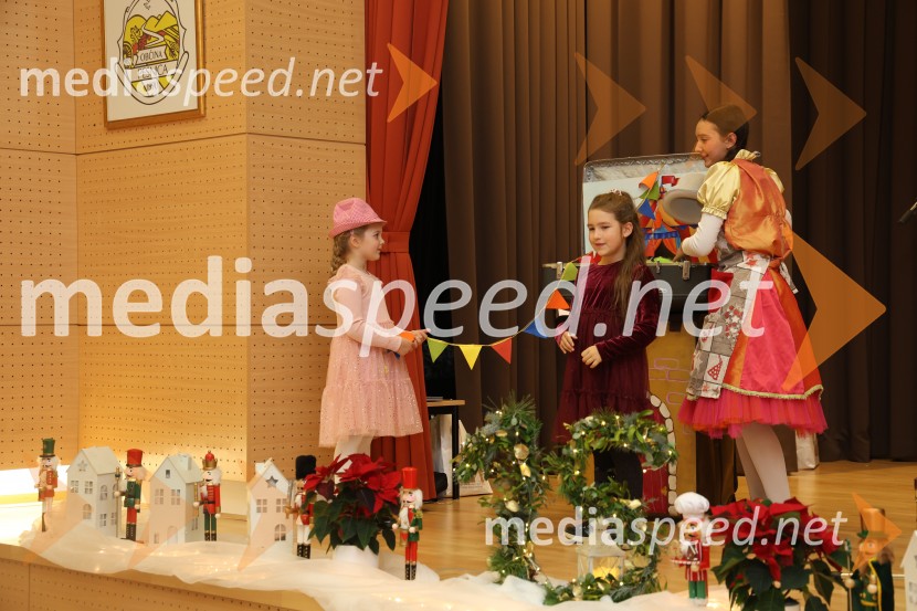 Namesto pike vejica, 15. obletnica delovanja društva