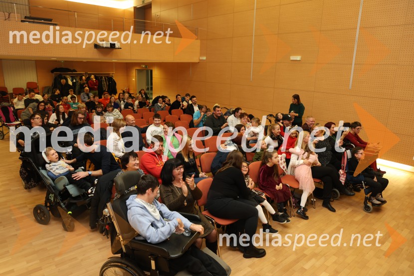 Namesto pike vejica, 15. obletnica delovanja društva