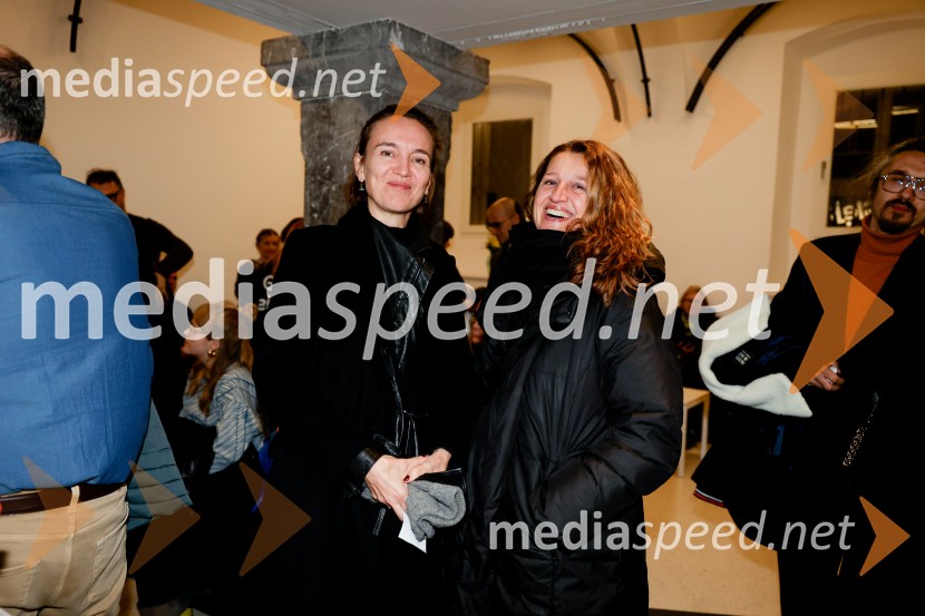 Manifest, Mladinsko gledališče Ljubljana, premiera