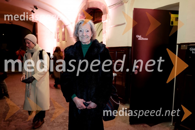 Manifest, Mladinsko gledališče Ljubljana, premiera