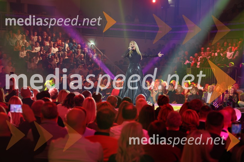 Silvestrski pozdrav 2025, snemanje oddaje v Dvorani Tabor