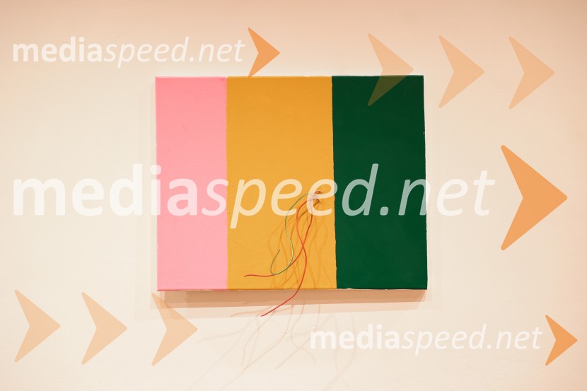 Razstava Fragmenti odprla vrata v Miklovi hiši