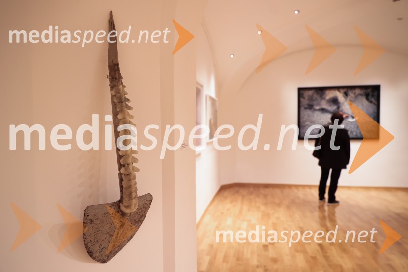 Razstava Fragmenti odprla vrata v Miklovi hiši