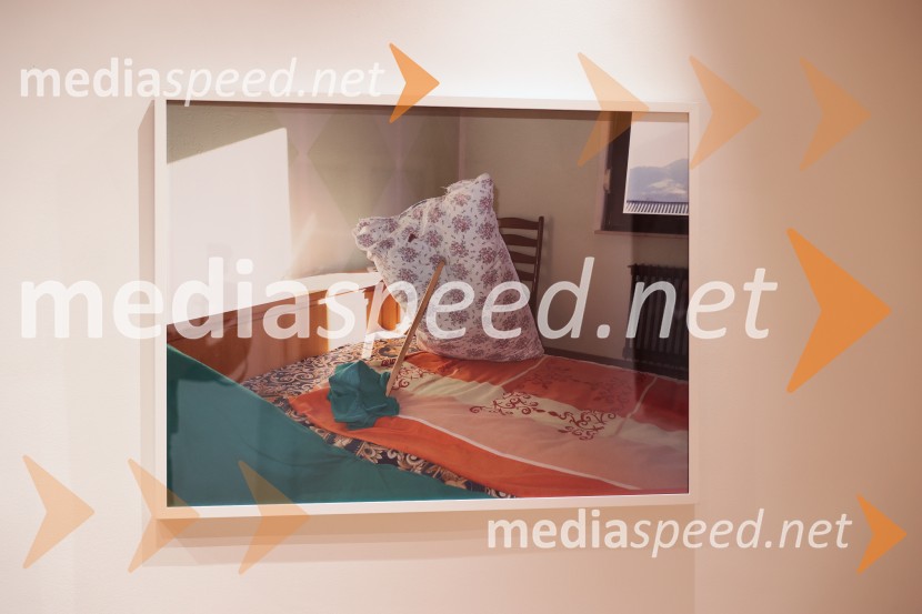 Razstava Fragmenti odprla vrata v Miklovi hiši