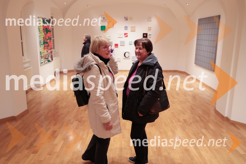 Razstava Fragmenti odprla vrata v Miklovi hiši