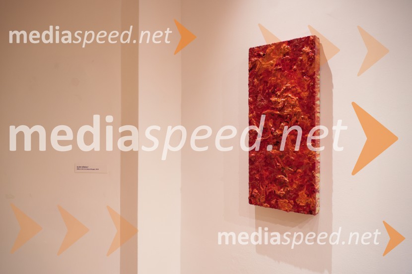 Razstava Fragmenti odprla vrata v Miklovi hiši