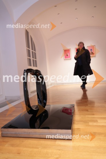 Razstava Fragmenti odprla vrata v Miklovi hiši