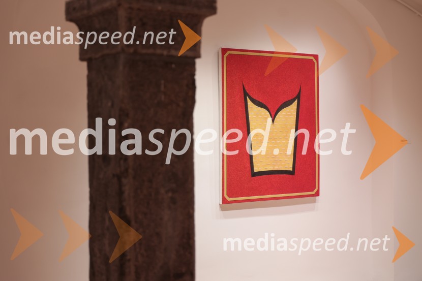 Razstava Fragmenti odprla vrata v Miklovi hiši