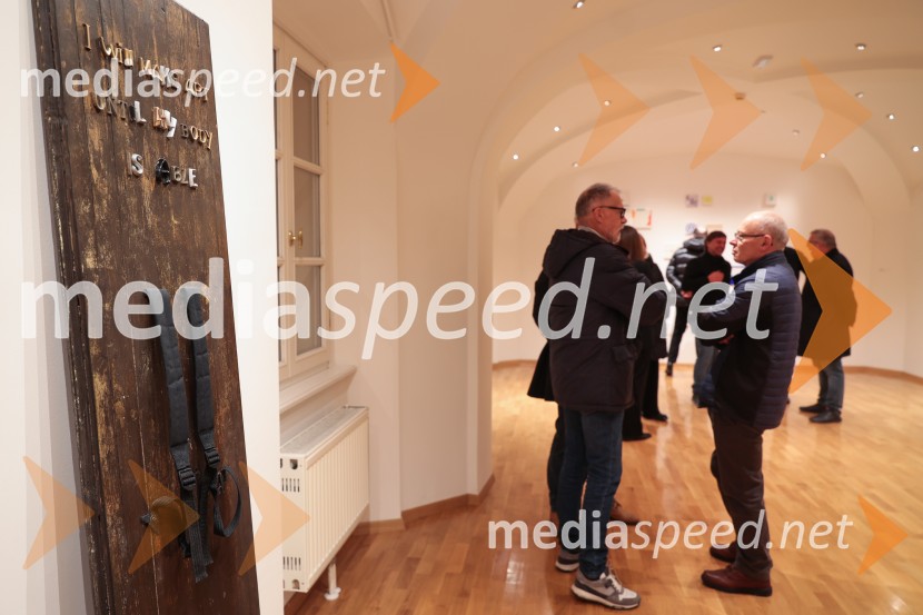 Razstava Fragmenti odprla vrata v Miklovi hiši