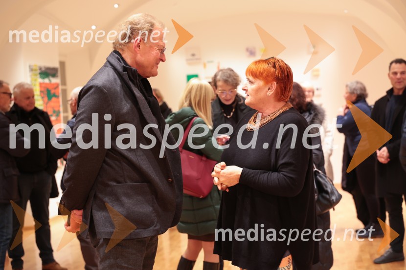 Razstava Fragmenti odprla vrata v Miklovi hiši