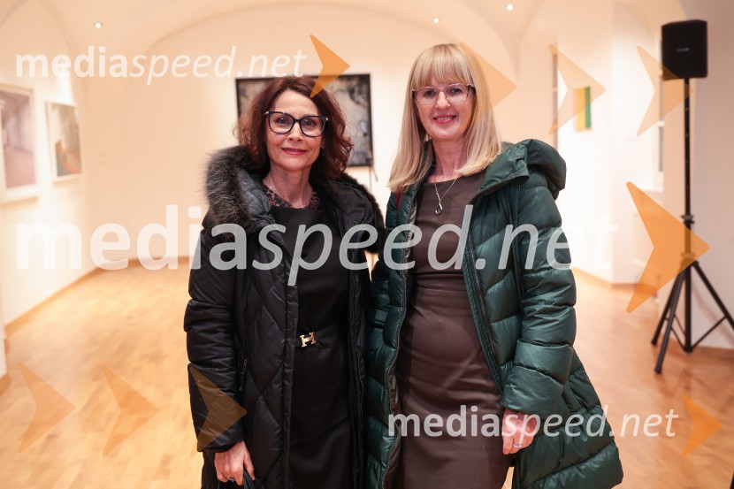 Razstava Fragmenti odprla vrata v Miklovi hiši