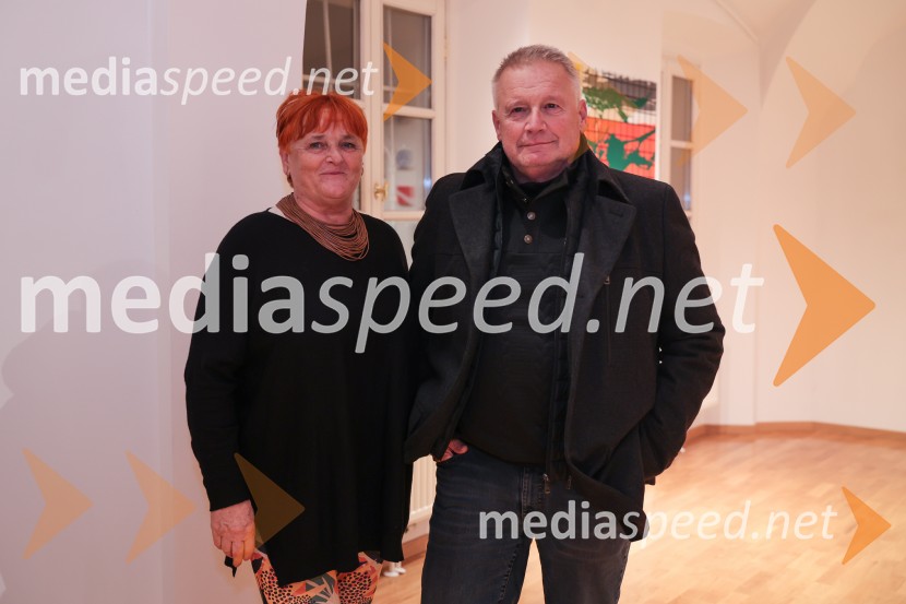 Razstava Fragmenti odprla vrata v Miklovi hiši