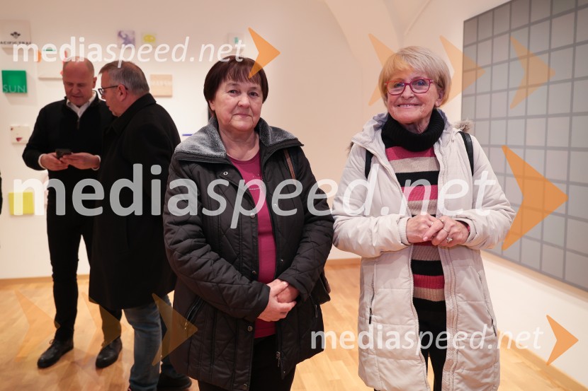 Razstava Fragmenti odprla vrata v Miklovi hiši