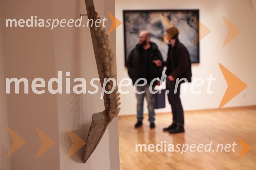 Razstava Fragmenti odprla vrata v Miklovi hiši