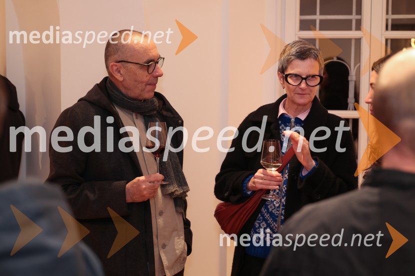 Razstava Fragmenti odprla vrata v Miklovi hiši