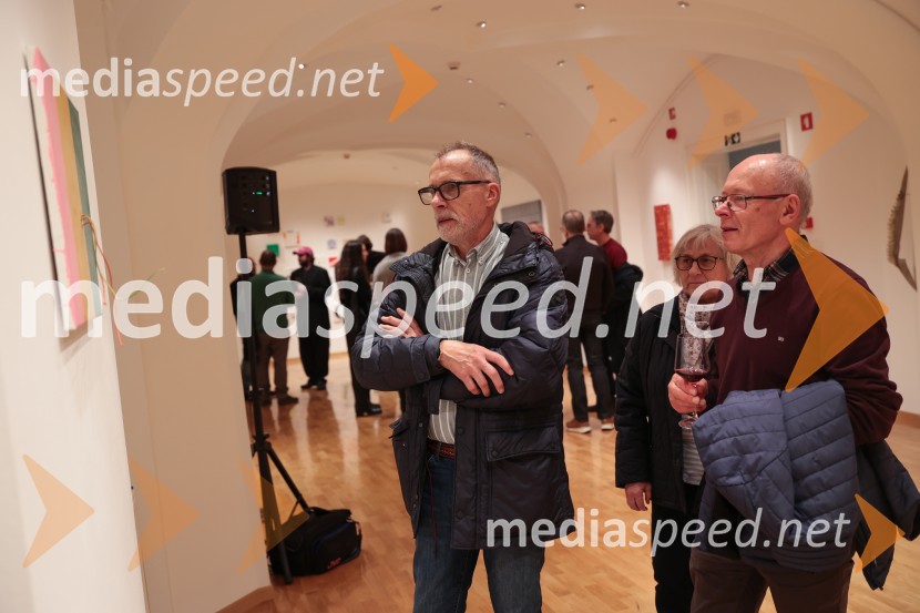 Razstava Fragmenti odprla vrata v Miklovi hiši