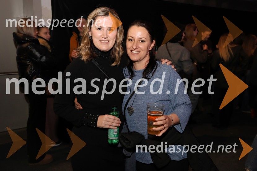 Zdravko Čolić, koncert v Mariboru