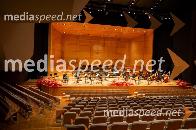 Stoletnica Estonskega nacionalnega simfoničnega orkestra, Cankarjev dom