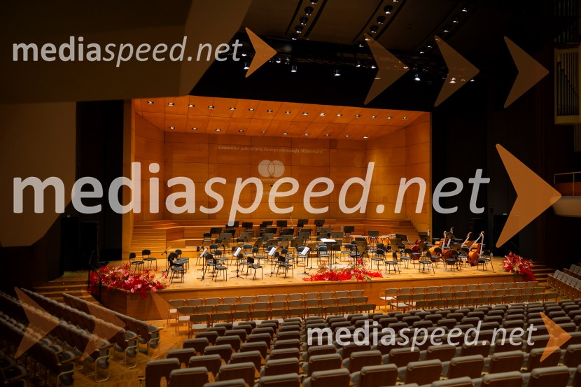 Stoletnica Estonskega nacionalnega simfoničnega orkestra, Cankarjev dom