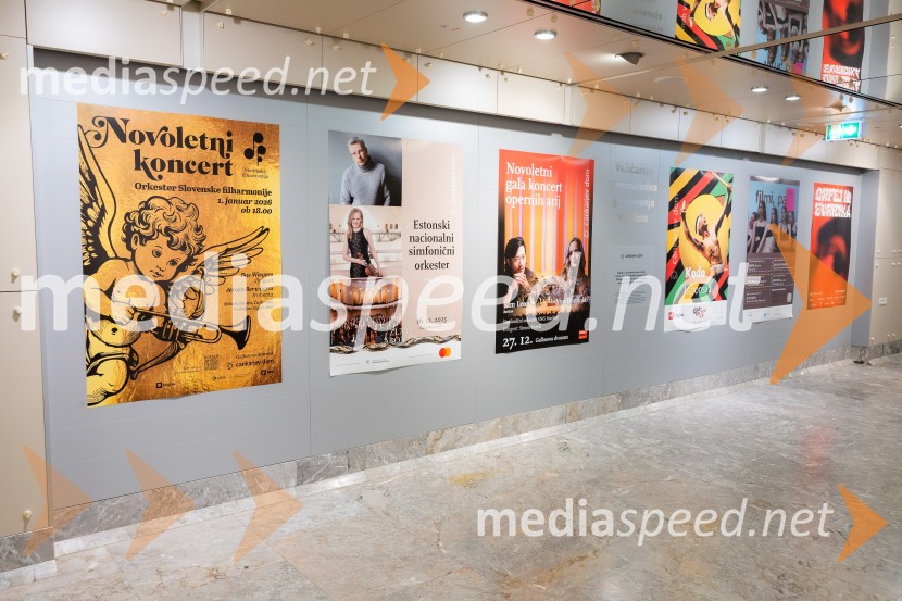 Stoletnica Estonskega nacionalnega simfoničnega orkestra, Cankarjev dom