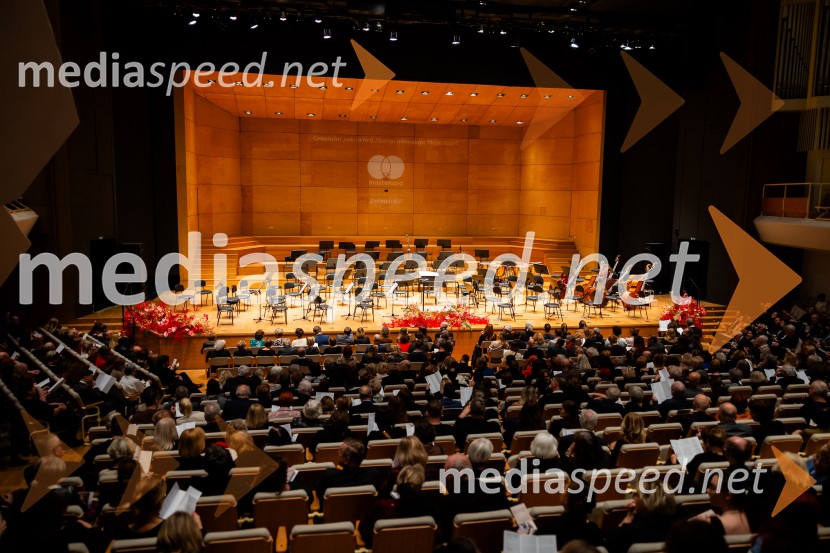 Stoletnica Estonskega nacionalnega simfoničnega orkestra, Cankarjev dom