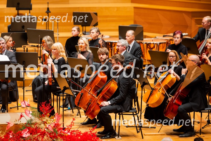 Stoletnica Estonskega nacionalnega simfoničnega orkestra, Cankarjev dom