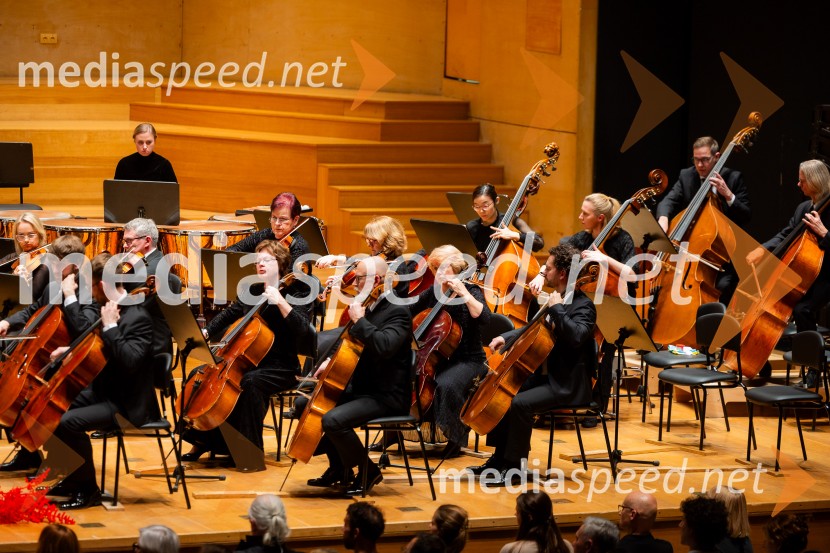 Stoletnica Estonskega nacionalnega simfoničnega orkestra, Cankarjev dom