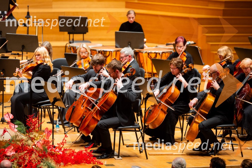 Stoletnica Estonskega nacionalnega simfoničnega orkestra, Cankarjev dom