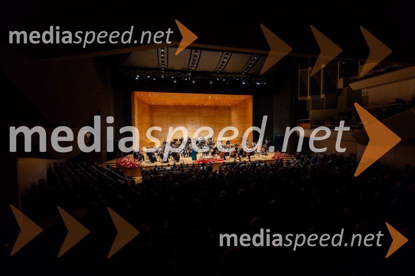 Stoletnica Estonskega nacionalnega simfoničnega orkestra, Cankarjev dom