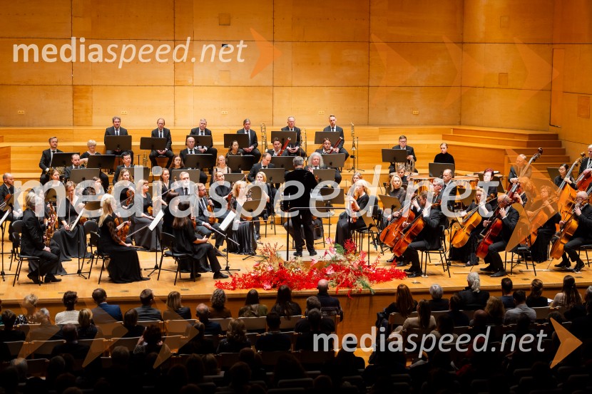 Stoletnica Estonskega nacionalnega simfoničnega orkestra, Cankarjev dom