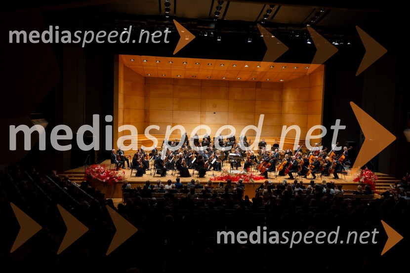 Stoletnica Estonskega nacionalnega simfoničnega orkestra, Cankarjev dom