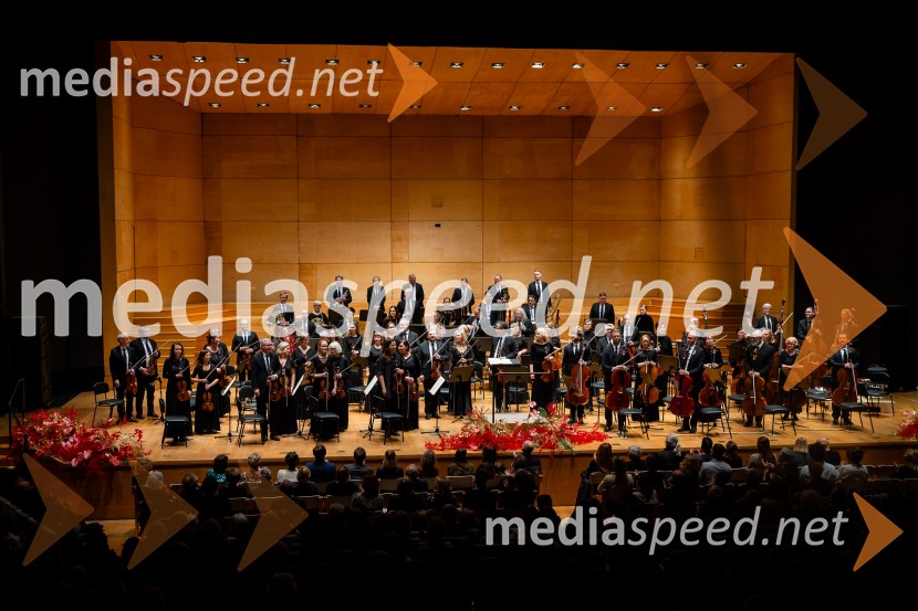 Stoletnica Estonskega nacionalnega simfoničnega orkestra, Cankarjev dom