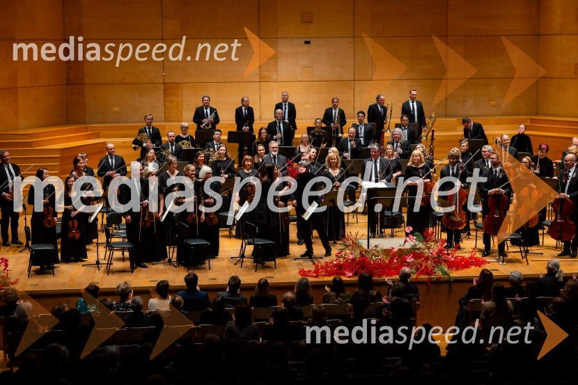 Stoletnica Estonskega nacionalnega simfoničnega orkestra, Cankarjev dom