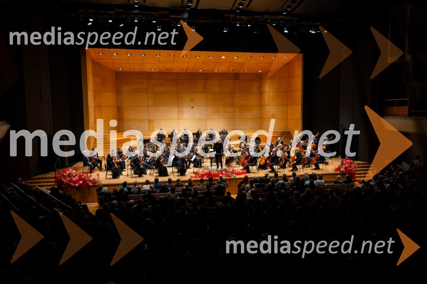 Stoletnica Estonskega nacionalnega simfoničnega orkestra, Cankarjev dom