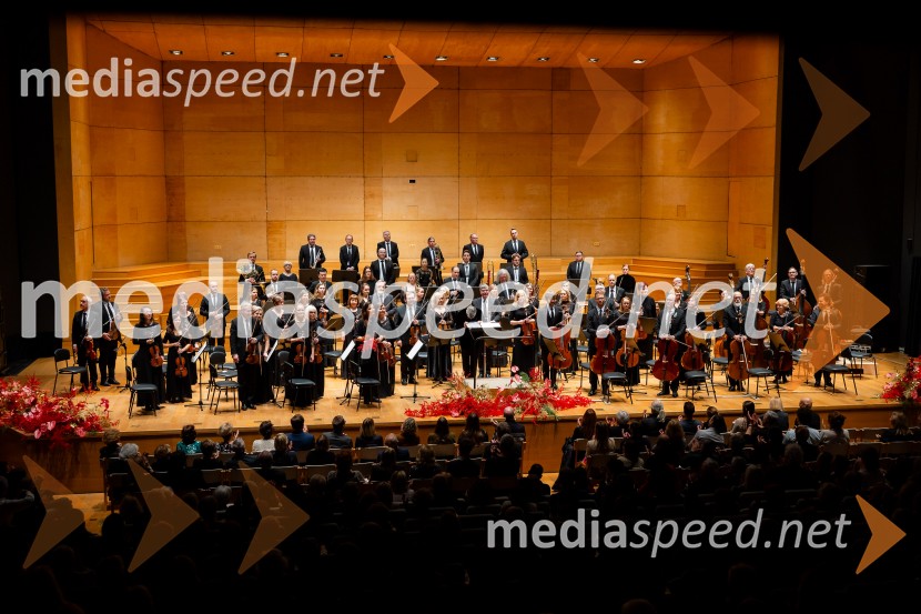 Stoletnica Estonskega nacionalnega simfoničnega orkestra, Cankarjev dom