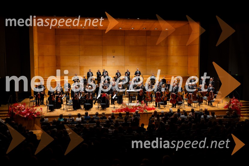 Stoletnica Estonskega nacionalnega simfoničnega orkestra, Cankarjev dom