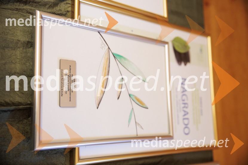 Podeljeni nagradi HORUS in ADRASTOS 2025 za družbeno odgovornost in trajnostni razvoj