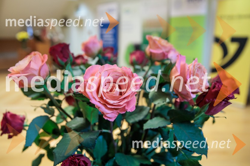 Podeljeni nagradi HORUS in ADRASTOS 2025 za družbeno odgovornost in trajnostni razvoj