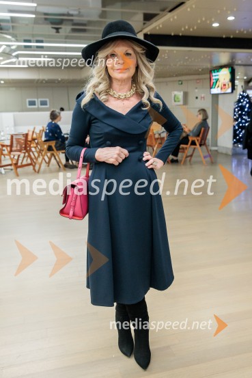 Raynald Colom: Constellation, koncert v Cankarjevem domu