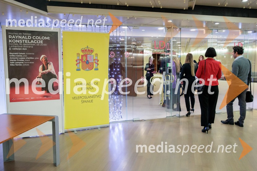 Raynald Colom: Constellation, koncert v Cankarjevem domu