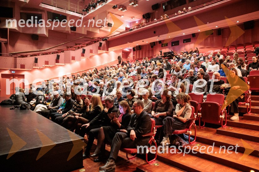 Raynald Colom: Constellation, koncert v Cankarjevem domu