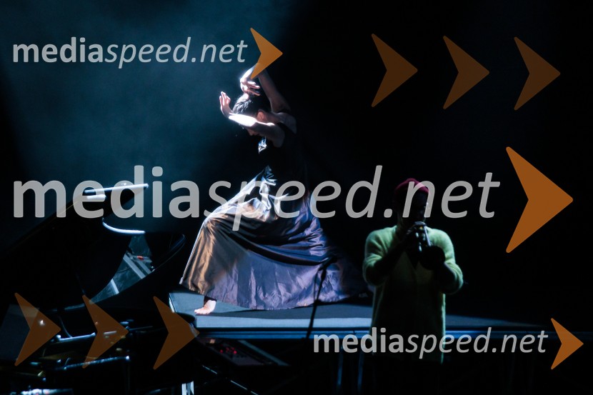 Raynald Colom: Constellation, koncert v Cankarjevem domu