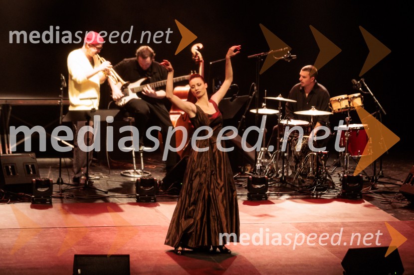 Raynald Colom: Constellation, koncert v Cankarjevem domu