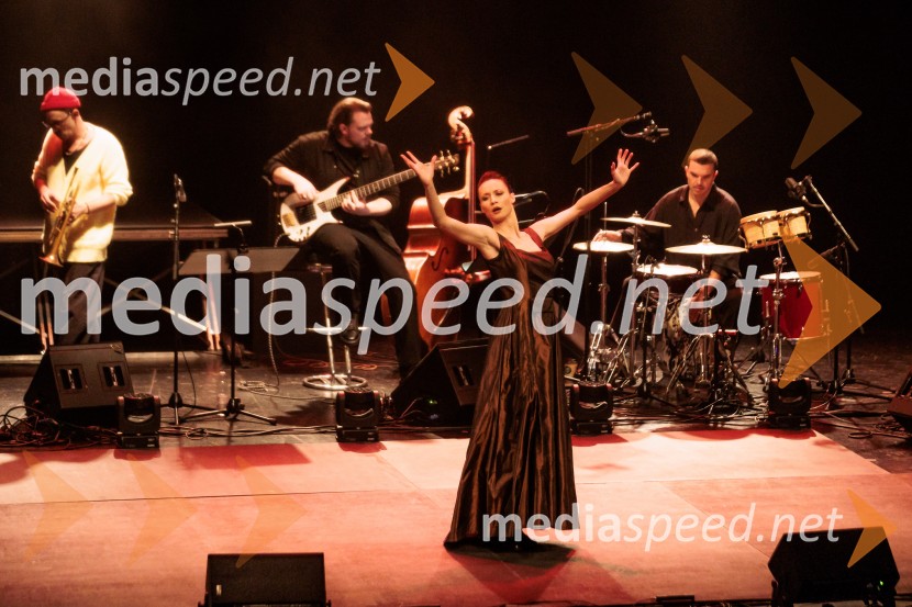 Raynald Colom: Constellation, koncert v Cankarjevem domu