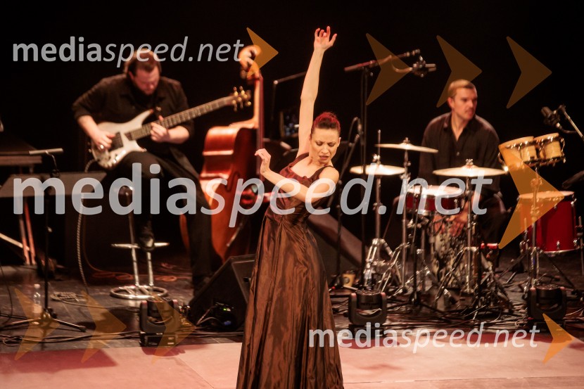 Raynald Colom: Constellation, koncert v Cankarjevem domu