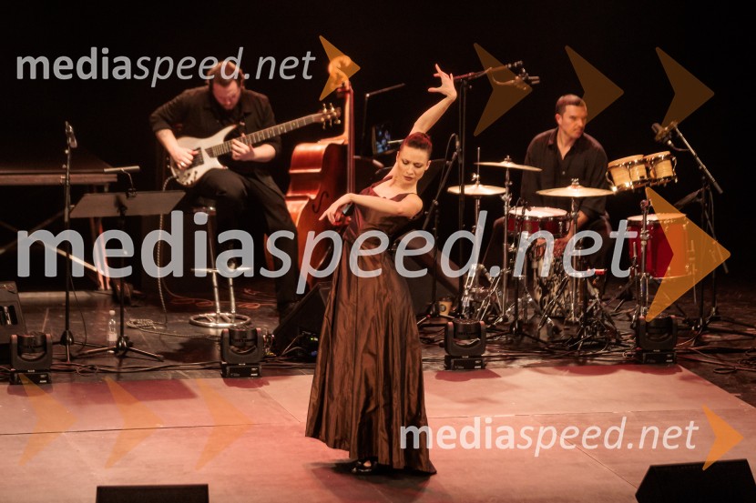 Raynald Colom: Constellation, koncert v Cankarjevem domu